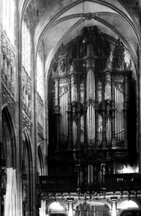 den bosch - kathedraal - orgel