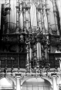 Bois-le-Duc - Hertogenbosch - Cathedral - renaissance organ