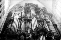 bois-le-duc - Herzogenbusch - Cathedral - renaissance organ