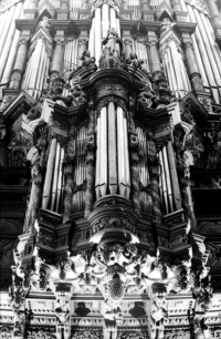 Bois-le-Duc - Hertogenbosch -  S.Johns cathedral - renaissance-organ