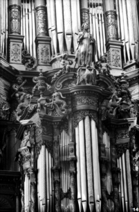 Bois-le-Duc - Bolduque - Saint-Johns Basilica - 17th century organ