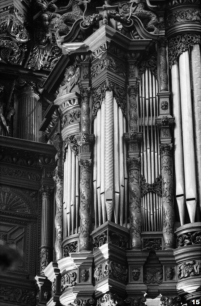 Bois-le-Duc - Herzogenbusch - Saint John church - organ - ruckpositif