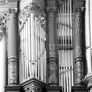 Bois-le-Duc - St.Johns - organ - mirror fields