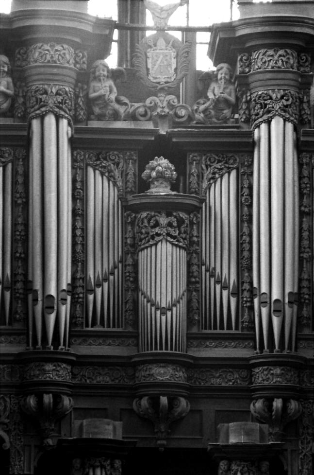 saint-hubert - Hubertusbasiliek - orgel